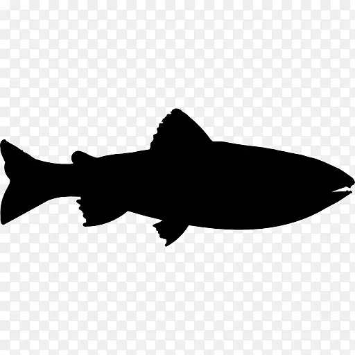 鱼体轮廓画鳟鱼
