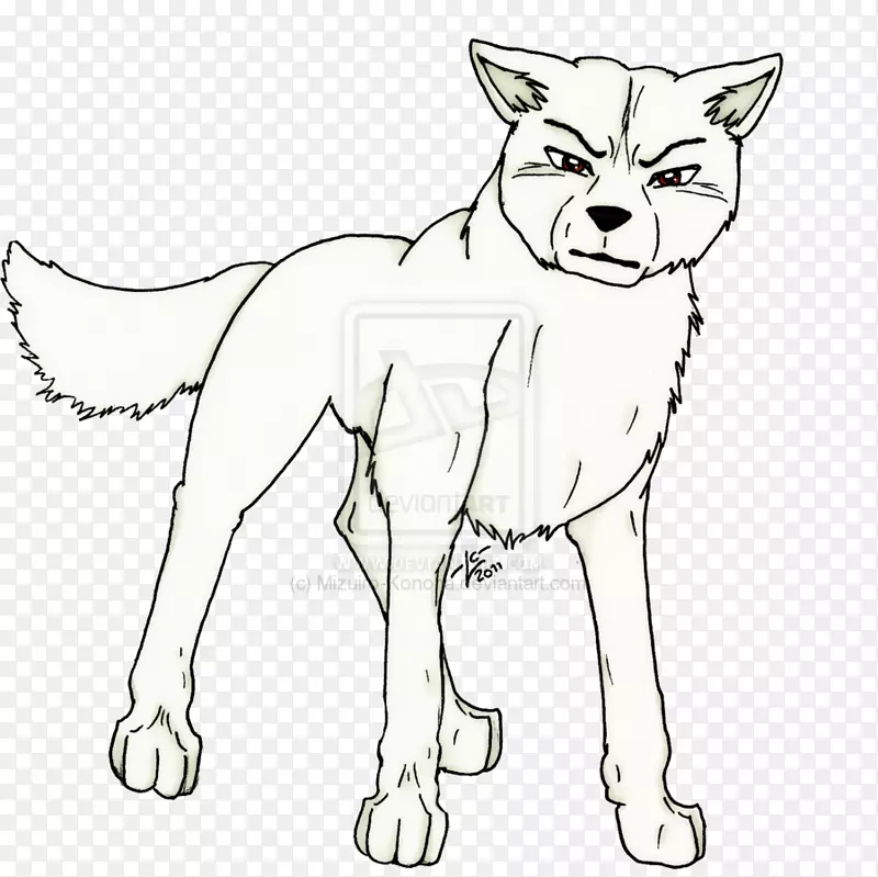 胡须红狐犬繁殖线艺术犬