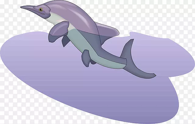 普通宽吻海豚紫色剪贴画.紫色