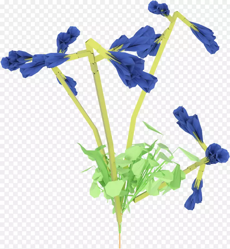 切花植物茎开花植物