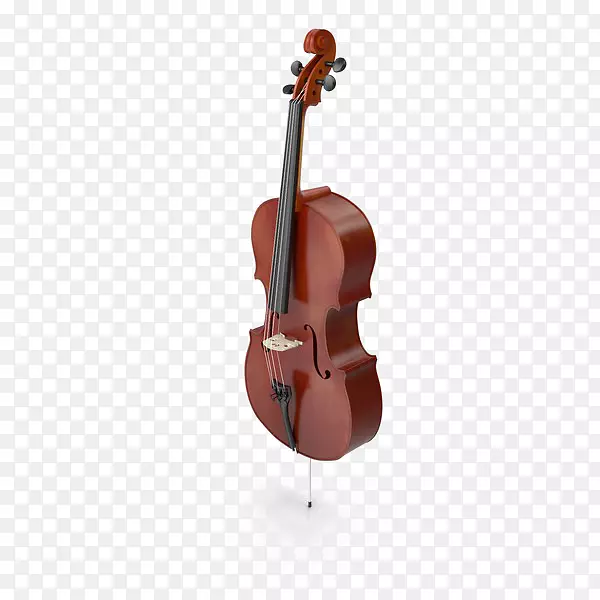 大提琴低音小提琴中提琴小提琴