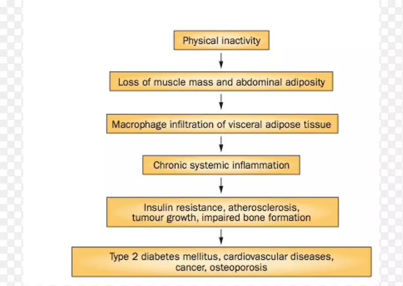 2型糖尿病运动心血管疾病肥胖-体力活动