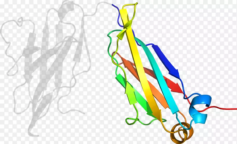 线点生物剪贴画线