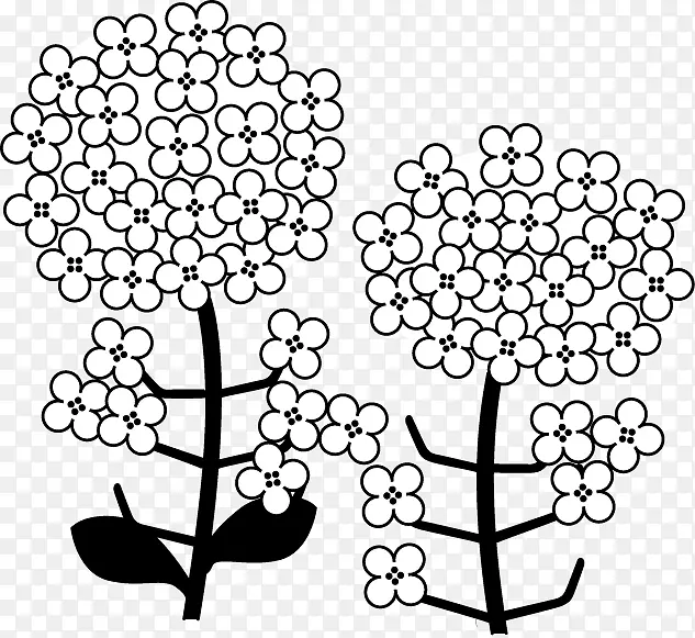 油菜黑白花设计单色画-绣球花