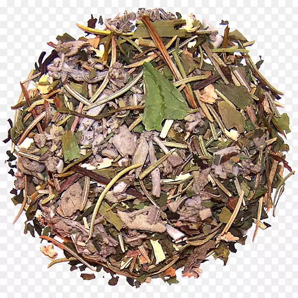 尼尔吉里茶hōJicha草本香料茶植物乌龙茶