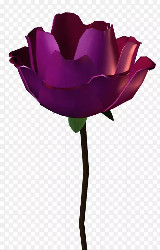花园玫瑰粉红色花瓣玫瑰