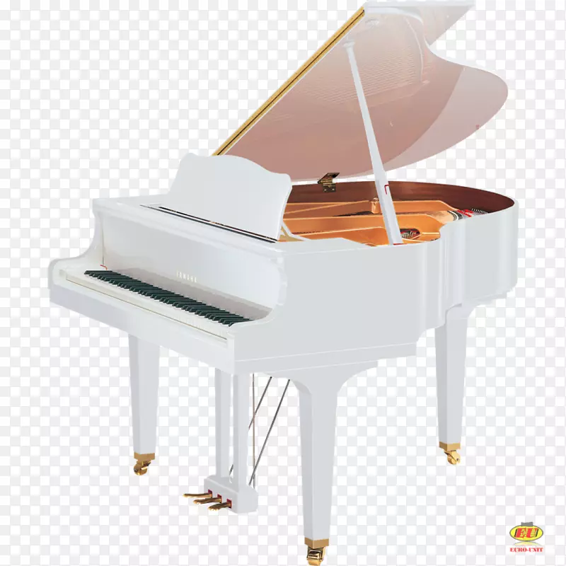 大钢琴雅马哈公司重点钢琴家-钢琴