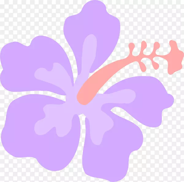紫杉植物夏威夷木槿黄色木槿剪贴画-粉红色木槿