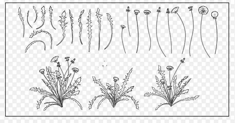 蒲公英海报植物设计