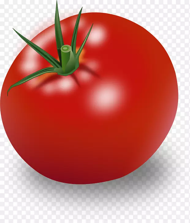 汉堡包樱桃番茄成熟蔬菜剪贴画-蔬菜