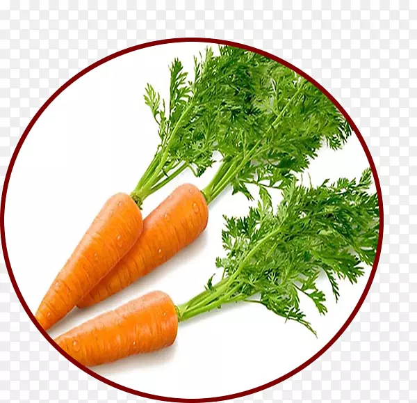 胡萝卜蔬菜β-胡萝卜素食品-胡萝卜