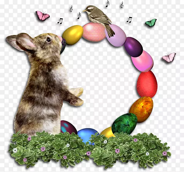 兔子复活节彩蛋节