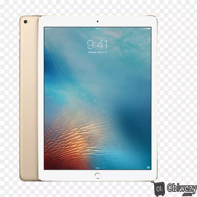 ipad pro(12.9英寸)(第二代)苹果wi-fi ipad Air 2-ipad