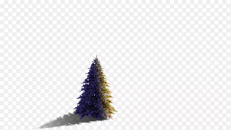 圣诞节装饰圣诞树云杉仪表-圣诞节滑块