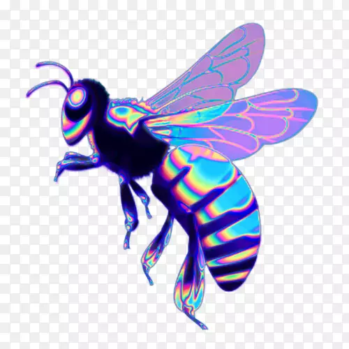 西方蜜蜂虫蜂巢-蜜蜂