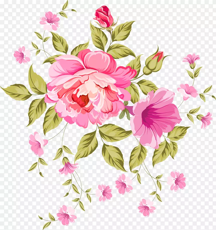 康乃馨画粉红色花