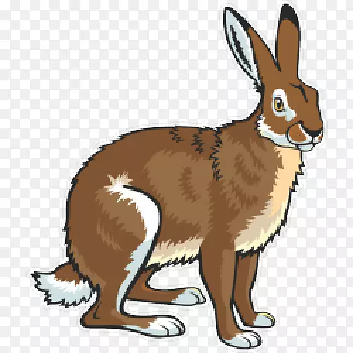 欧洲野兔北极野兔雪鞋兔剪贴画-兔子