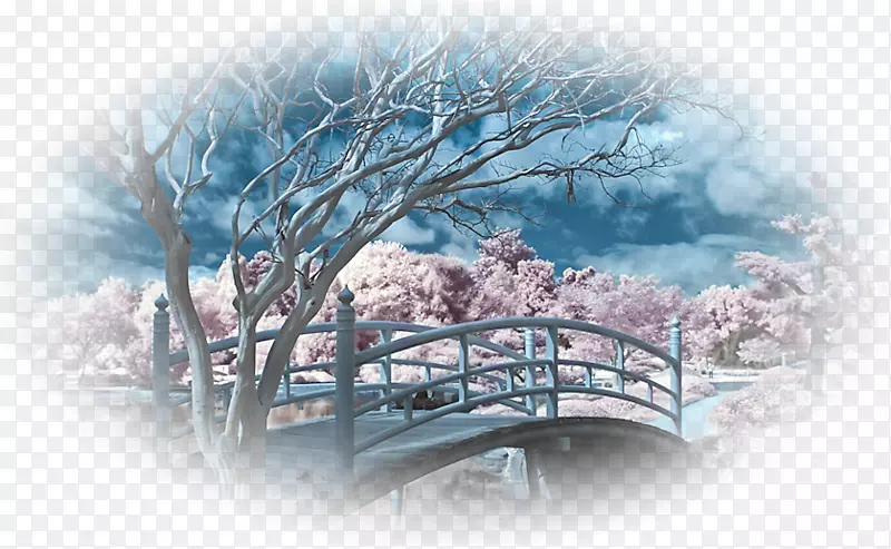 风景桌面壁纸摄影