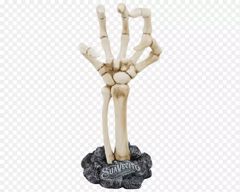 手人体骨骼解剖骨手