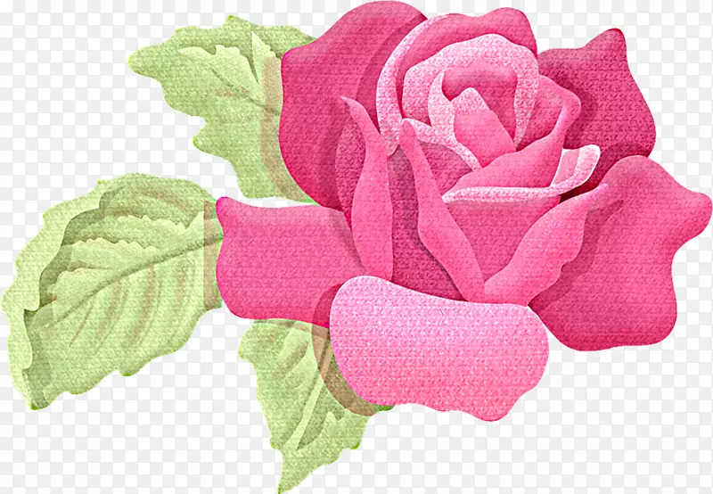 花园玫瑰绘画剪贴画
