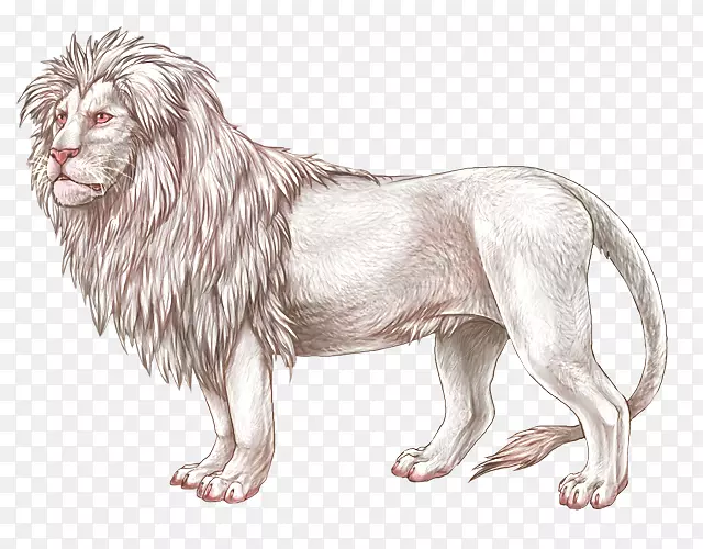 狮子狗犬科鼻子素描-狮子