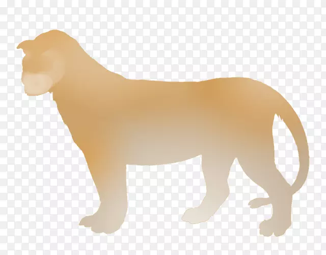 小狮子犬繁育罗得西亚山脊狮