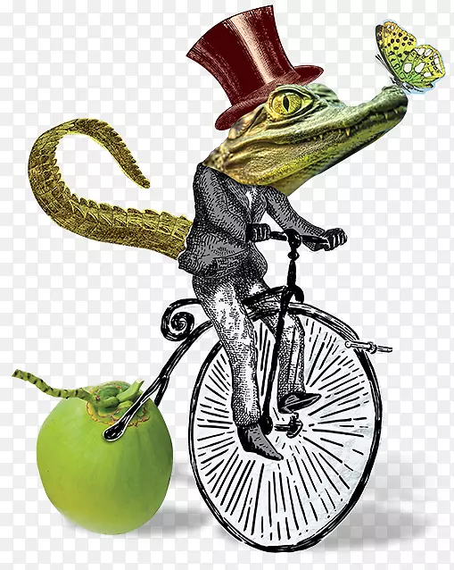 椰子水饮料自行车甜点-椰子