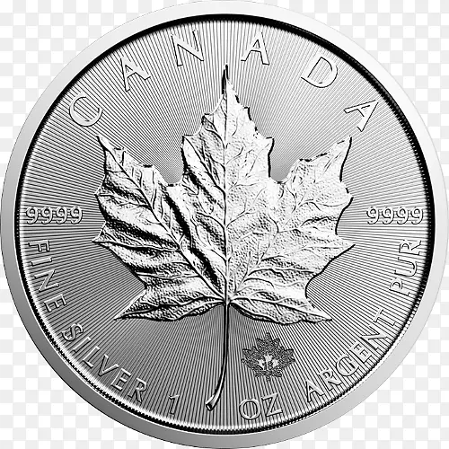 加拿大银枫叶金银金币