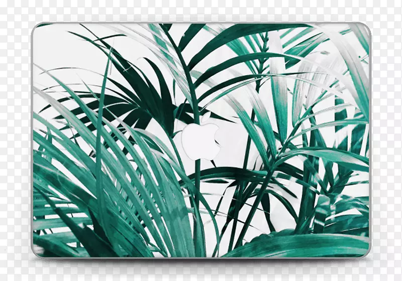 MacBook Pro MacBook Air iphone x iPad Air-MacBook