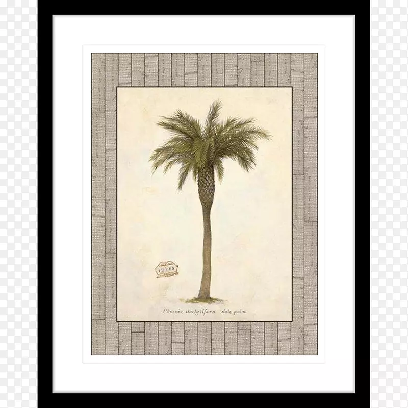 画框，洛可可树作品，艺术装饰-猫棕榈