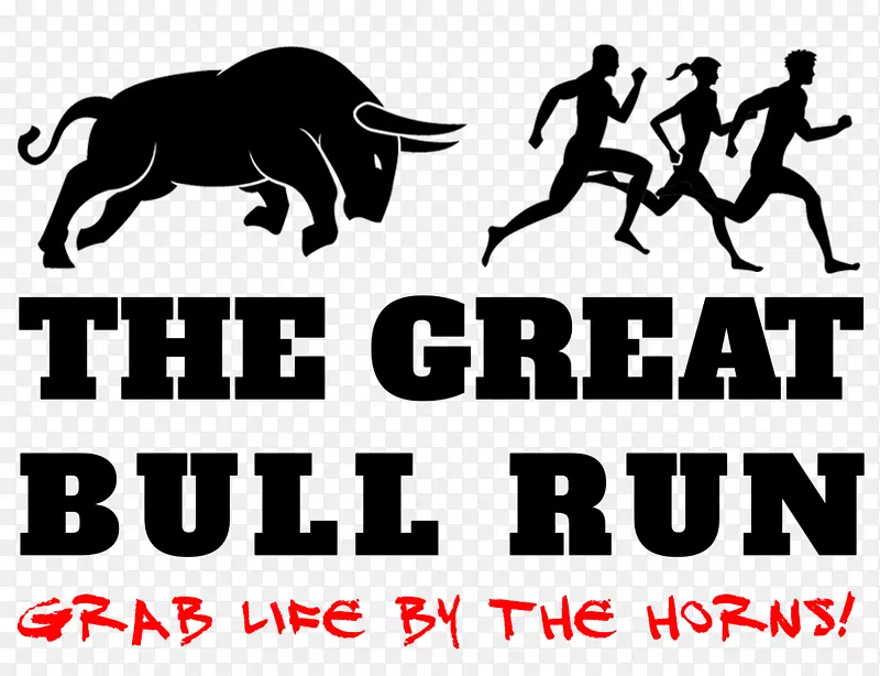 牛的奔跑牛跑驱动潘普洛纳的牛跑区域公园-公牛