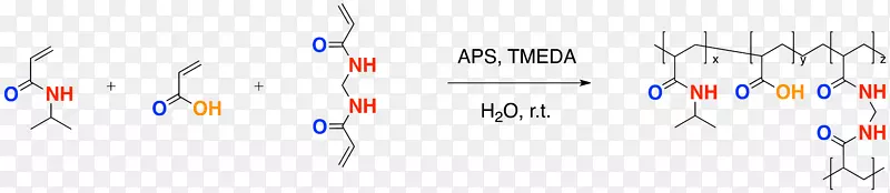 聚n-异丙基丙烯酰胺聚合四甲基乙二胺过硫酸铵
