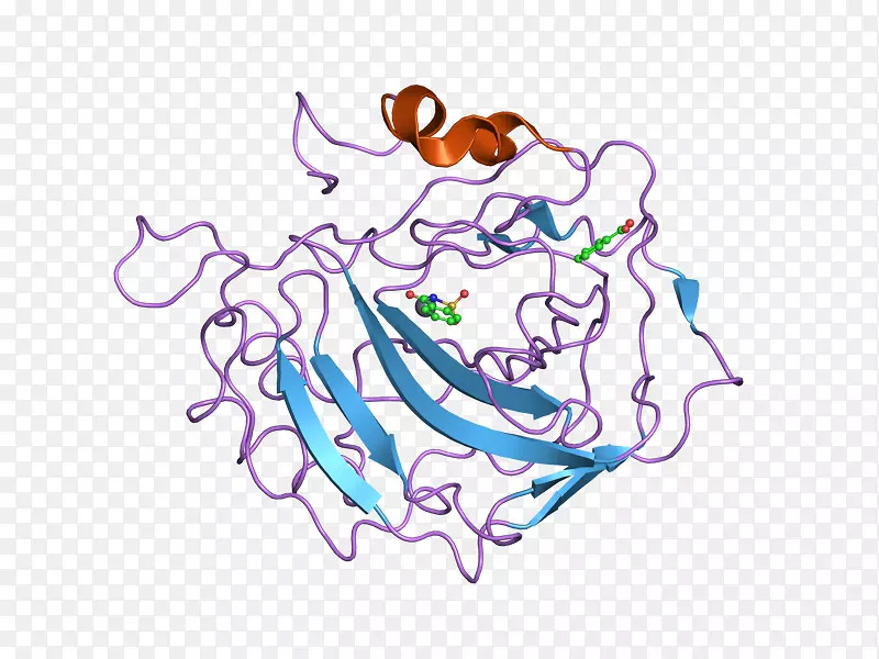 Coro1a细胞凋亡诱导的通道剪贴画蛋白动画