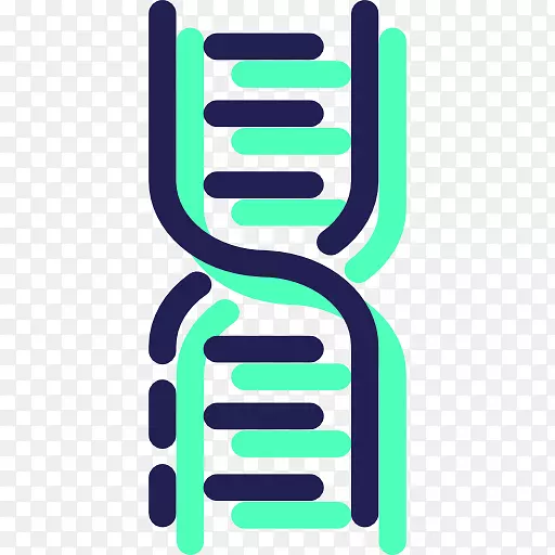 核酸的dna分子结构：脱氧核糖核酸的一种结构