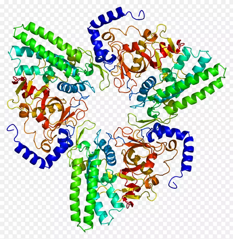 博莱霉素水解酶蛋白酶-酶