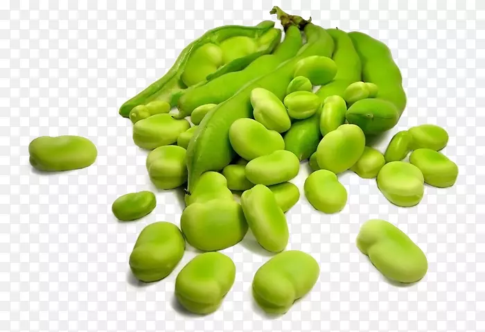 蚕豆豆类播种食物