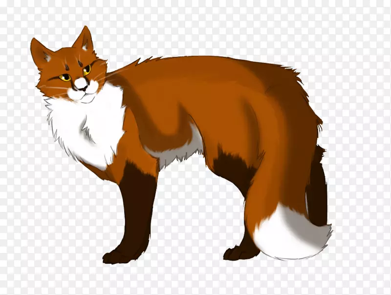 胡须猫红狐战士-猫