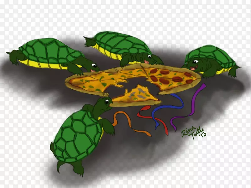 乌龟设计