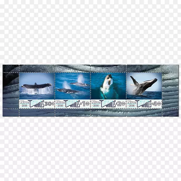 广告宣传海洋-座头鲸