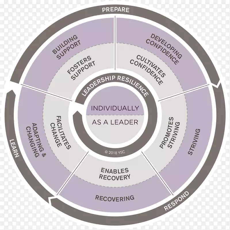 YSC组织领导管理咨询-复原力