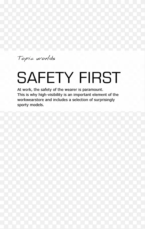 标志品牌工业安全系统字体设计