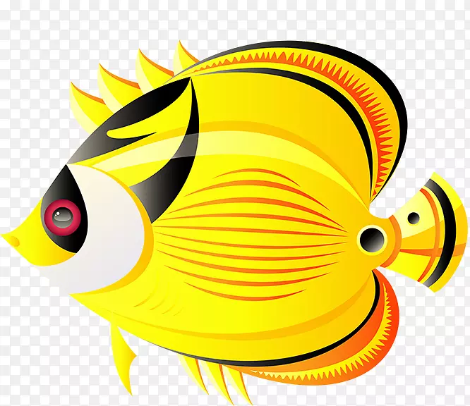 海归热带鱼热带-鱼类