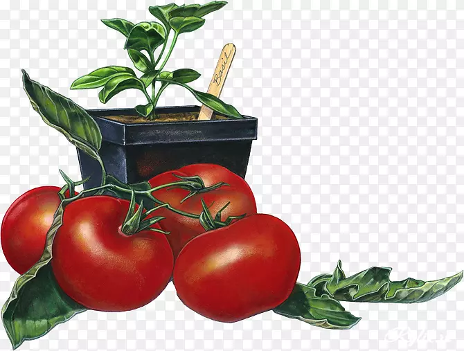 布什番茄汁，意大利菜，妈妈迪沙沃-蔬菜