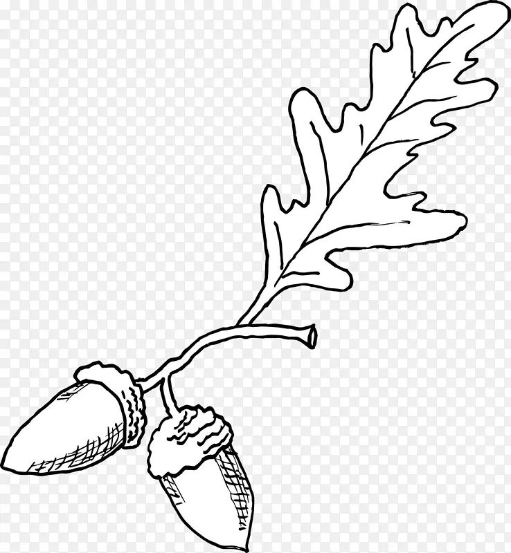 线条艺术植物茎卡通片艺术-涂鸦填充