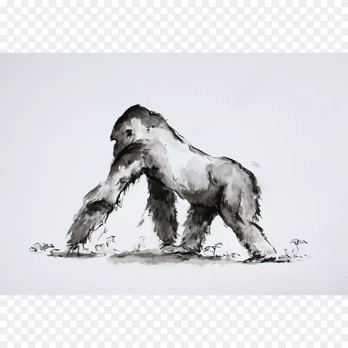 大猩猩狗画犬科/米/02csf-大猩猩