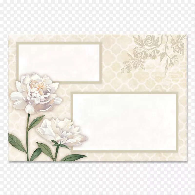 花卉设计纸画框矩形设计