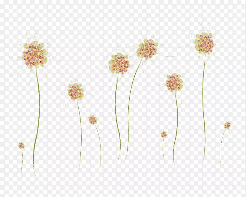 花卉设计粉红m花草墙纸.设计