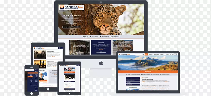 研究协同显示装置TRROMIK网页设计法和管理.Pangea