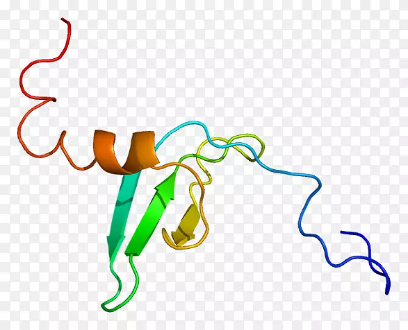 cbx 1异染色质蛋白1 ki-67组蛋白