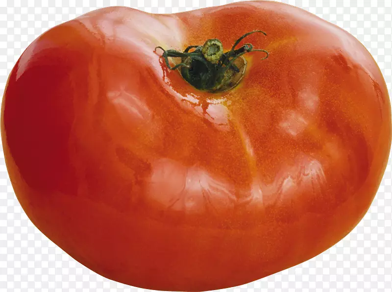 李子番茄胡椒灌木番茄食品-番茄